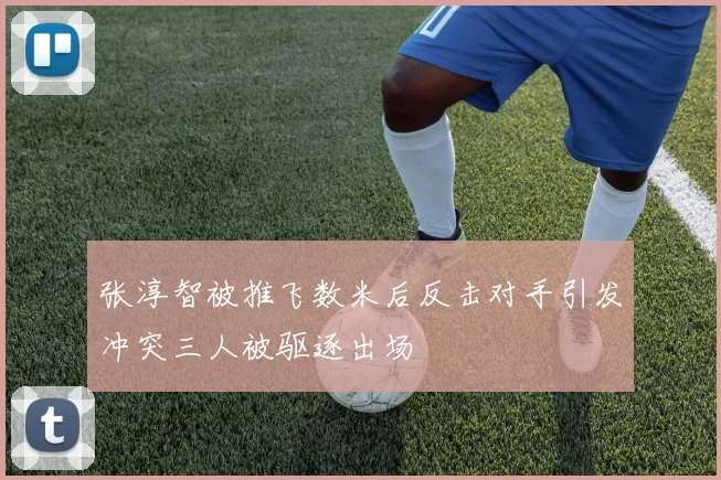 张淳智被推飞数米后反击对手引发冲突三人被驱逐出场