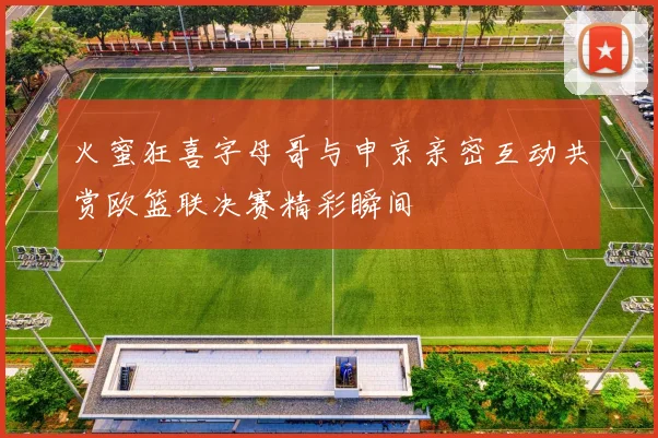 火蜜狂喜字母哥与申京亲密互动共赏欧篮联决赛精彩瞬间